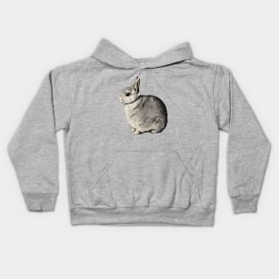 Vintage Rabbit Chubby Furry Pet Bunny Mom Kids Hoodie